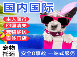 哈尔滨平房机场物流国际宠物托运 【国